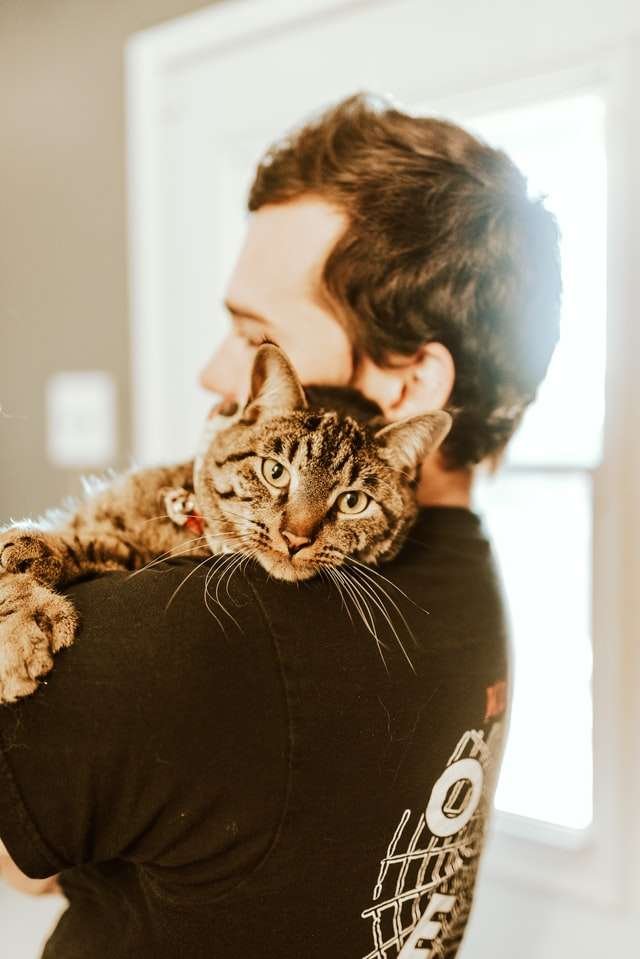 what are the benifits of cat