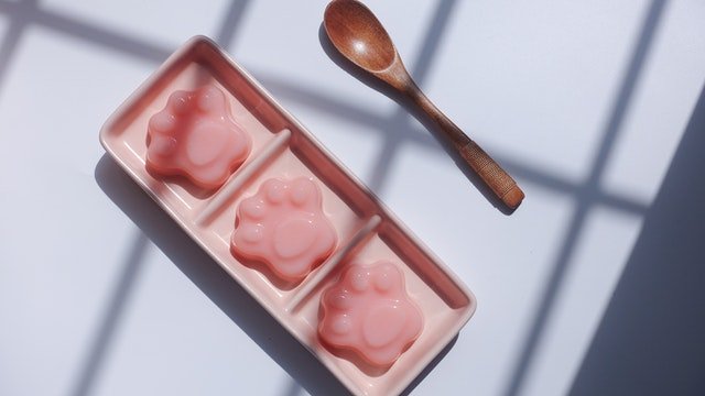cats jello