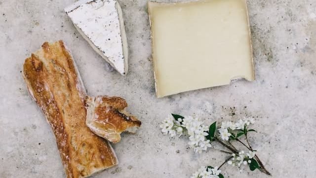 can cats eat goat cheese