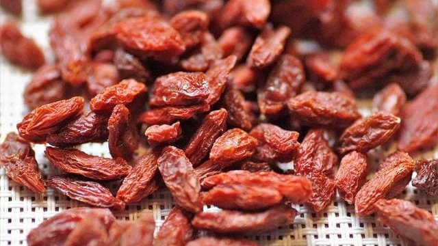 can cats eat Goji Berries