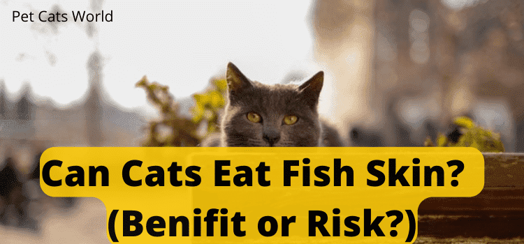 can cats eat fish skin