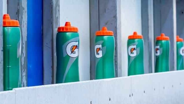can cats drink gatorade