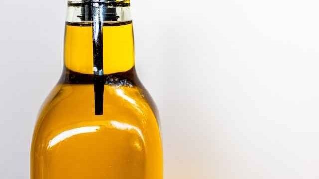 can cats drink sunflower oil
