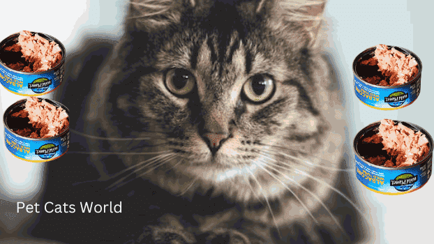 can cats eat tuna in water