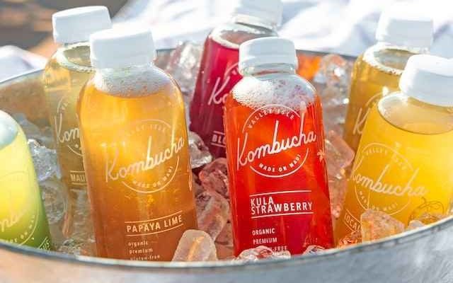 can cats drink kombucha
