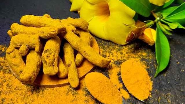 is turmeric safe for cats