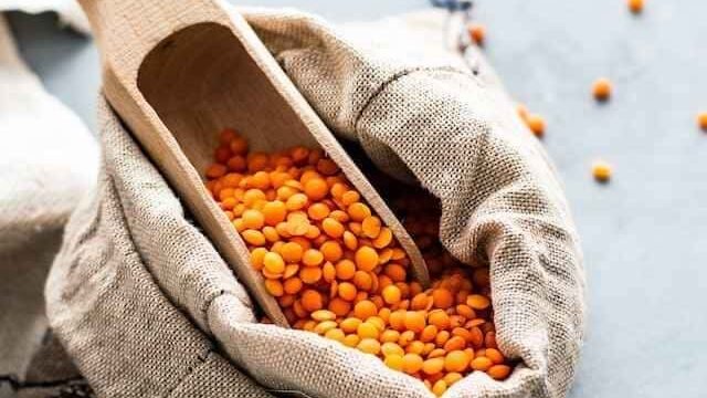 can i give my cat lentils