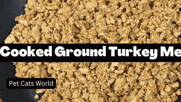can cats eat ground turkey
