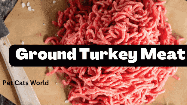 can cats eat ground turkey