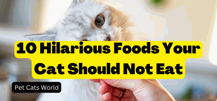 foods your cat should not eat