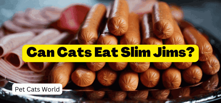 can cats eat slim jims