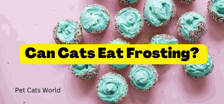 Can Cats Eat Frosting