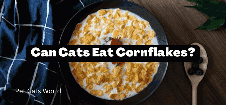 Can Cats Eat Cornflakes?