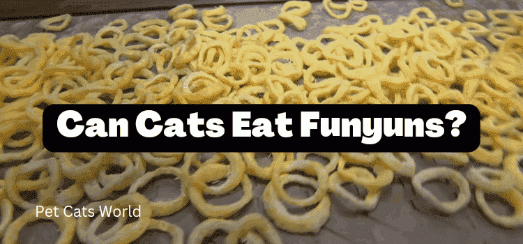 Can Cats Eat Funyuns