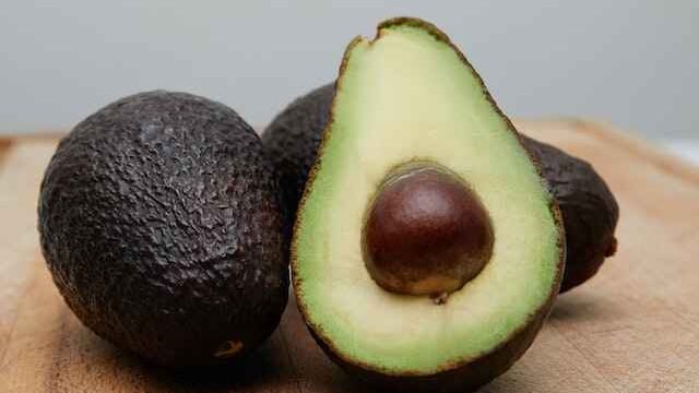 Can Cats Eat Guacamole