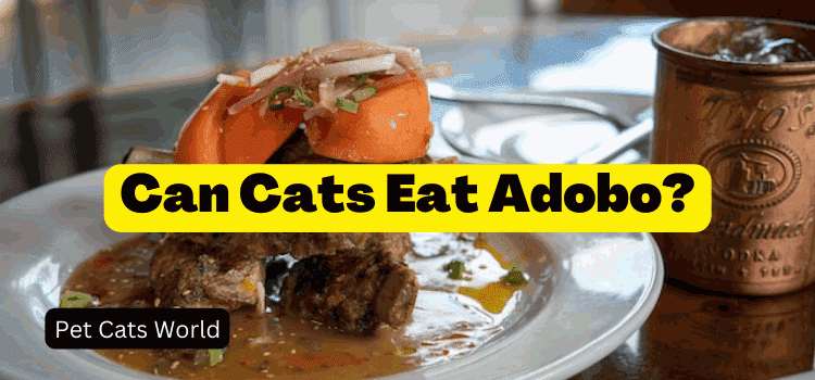 can cats eat adobo