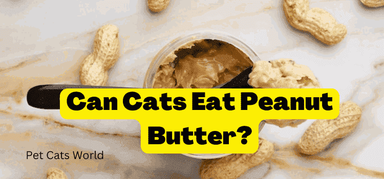 can cats eat peanut butter