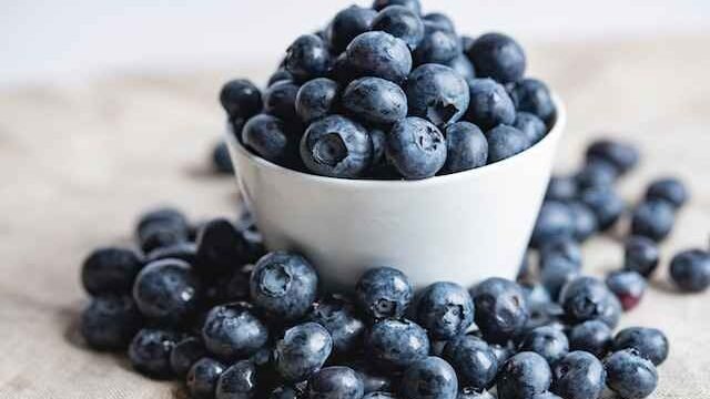 Can cats eat blueberries