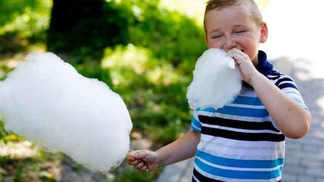 can cats eat fairy floss