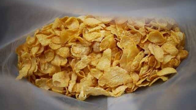 Can Cats Eat Cornflakes?