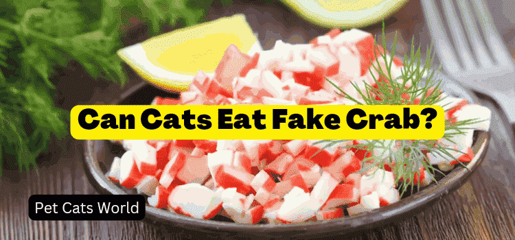 Can Cats Eat Fake Crab