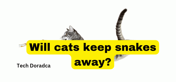 Will cats keep snakes away