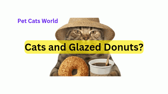 Are donuts bad for cats