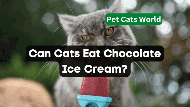 can cats eat ice cream