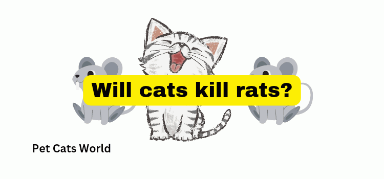 Will cats kill rats