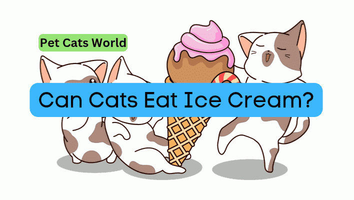 can cats eat ice cream