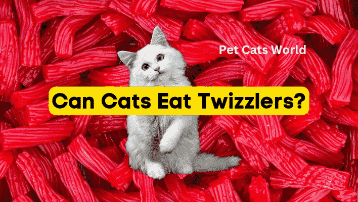 can cats eat twizzlers