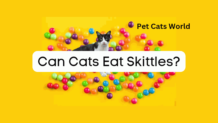 can cats eat skittles