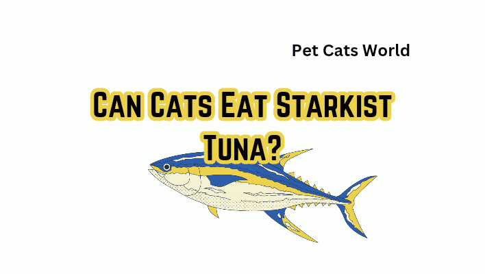 can cats eat starkist tuna