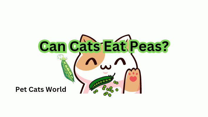 can cats eat peas