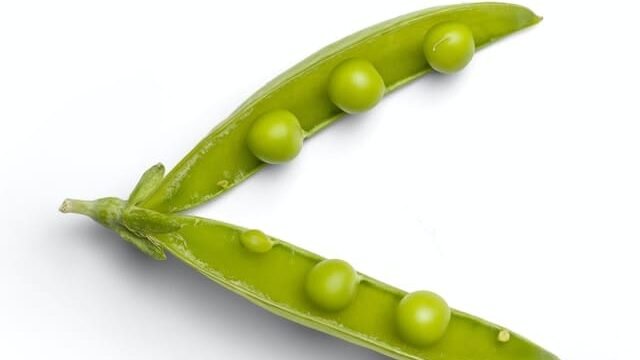 can cats eat peas